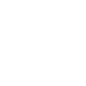 Hohe Daten-Sicherheit