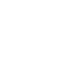 Kein IT-Fachwissen nötig